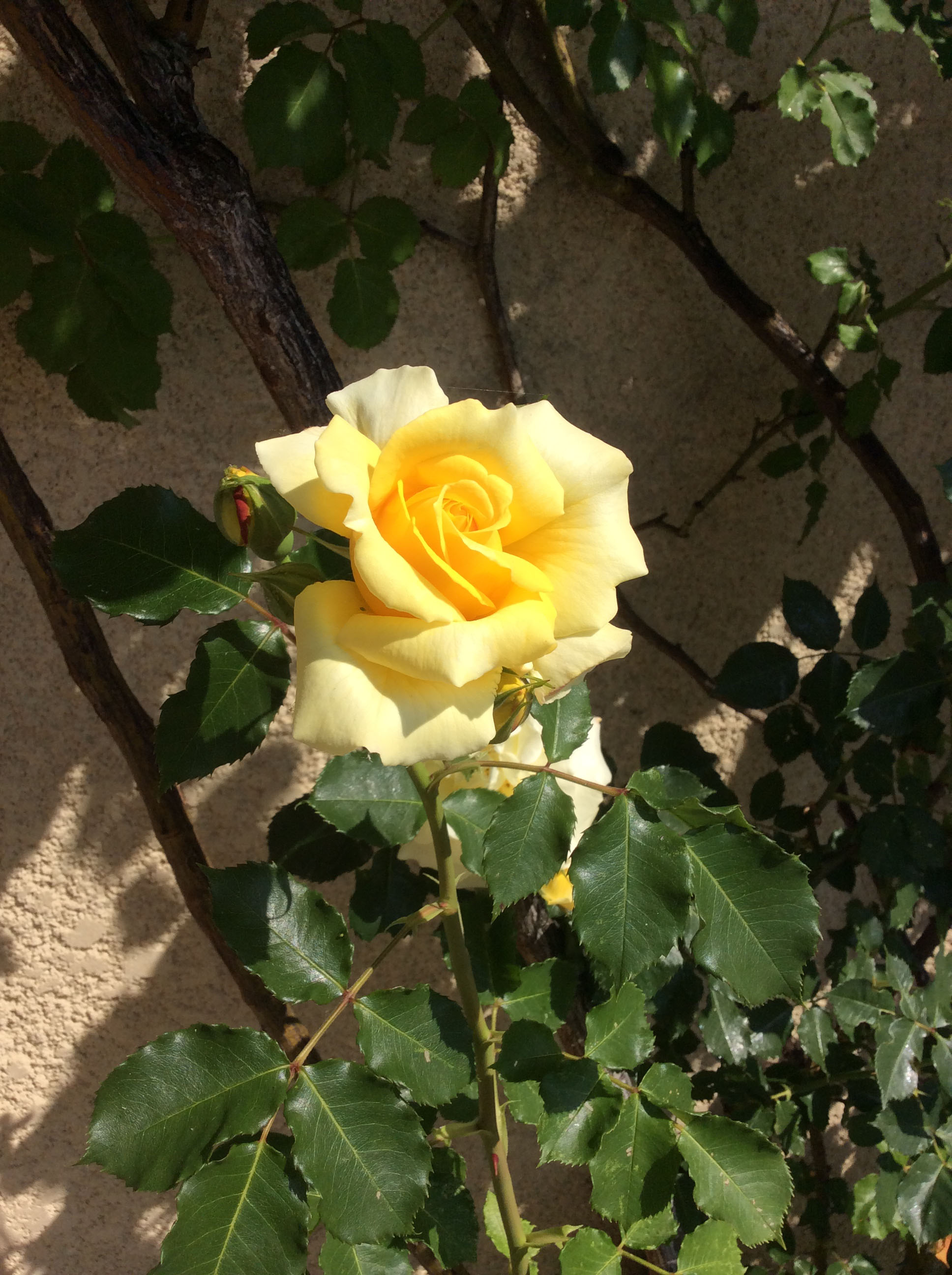 Cabinet de sophrologie à La Mure